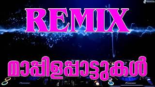 മനസ്സകമിൽ മുഹബ്ബത്ത് പെരുത്ത് manasakamil mohabbat unnimaya mailanji mailanchi mylanchi remix songs [upl. by Swayne]