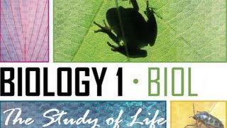 Biology  The Study of Life [upl. by Nekial]