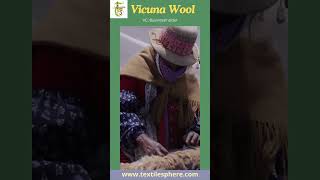 Vicuna Wool One of the most expensive wools in the world [upl. by Aylatan]