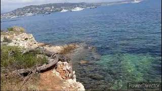 ÎLE SAINTE MARGUERITE pour les Marguerites [upl. by Zsa]