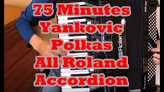 Yankovic Polkas 75 Minutes [upl. by Aleusnoc]