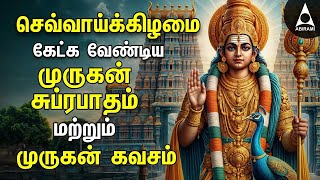 Tuesday Powerful Murugan Suprabatham And Muruga Kavasam  Murugan Bakthi Padalgal [upl. by Richela407]