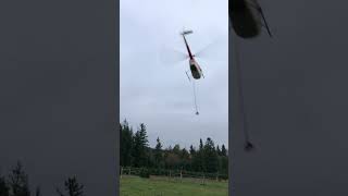 R44 Helicopter Flying Christmas Trees 2023 Part 13 [upl. by Ynaitirb]