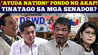 NAKU SEN PIMENTEL TAKOT MAGING AYUDA NATION ANG BANSA AKAP NG DSWD OFFLIMITS SA MGA SENADOR [upl. by Weatherley]