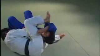 shime waza 2mp4 [upl. by Ahsikad848]