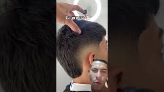 La cresta viralvideo barbershop bogota barber part3 viralshorts [upl. by Atsyrk]