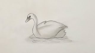 How to draw a swan easy step by step [upl. by Noloc]