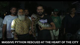 ROCK PYTHON RESCUE  SNAKE RESCUE 272 [upl. by Preuss670]