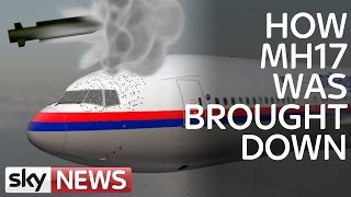 MH17 Air Crash Investigation What Caused Disaster [upl. by Theall]