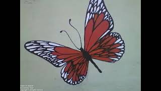 Beautiful red white and black butterfly drawn on the wall of the flower shop Nature amp Animals [upl. by Peti]