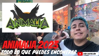 Animalia otoño 2023  todo lo que puedes encontrar [upl. by Nennarb]