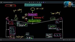 Eicosanoids ♥ [upl. by Allie]