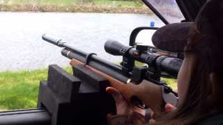 Air Arms S200 and The MaXBox door pro rabbit shoot [upl. by Bultman]