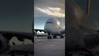 Taking Off And Landing And Much More🌎 Daily Basis Videos 🛩shortsairline January 15 2024 [upl. by Anaiviv]