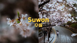 Suwon South Korea  Cinematic Travel Guide  Part Four [upl. by Chinua]