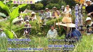 Yoshikazu Kawaguchis Natural Farming Method 12 [upl. by Anigriv344]