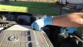 Howto Change the Engine Oil on a Lexus [upl. by Mouldon]