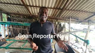 Goan Reporter Pele Fisherman ask RG Manoj Parab to come and help Benaulim Bypoll Candidate Grayfan [upl. by Beitris]