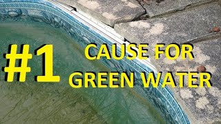 The Most Common Cause For Green Pool Water [upl. by Lewap469]