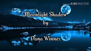 Moonlight Shadow by Dana Winnerwith lyrics [upl. by Eiddal]