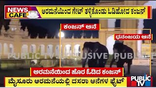 Dasara Elephants Fight  ಮೈಸೂರು ಅರಮನೆಯಲ್ಲಿ ದಸರಾ ಆನೆಗಳ ಫೈಟ್  Public TV [upl. by Halie983]