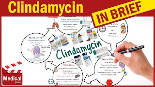 Clindamycin  Cleocin  What is Clindamycin Used For Dosage Side Effects amp Precautions [upl. by Schlesinger]