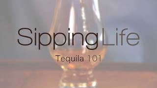 Tequila 101  The Basics of Tequila [upl. by Pilihp]