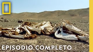 Maravillas naturales de México Desiertos costas y junglas  Nat Geo en Español [upl. by Ytoc]