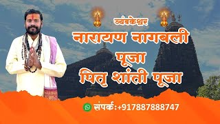 Narayan Nagbali Puja Trimbakeshwar  Pitra Dosh Pooja [upl. by Euphemiah]