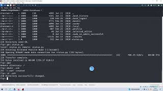 Cyber Security  Ethical Hacking  Pentesting Lab  Vulnhub  Walkthrough  Panabee [upl. by Carissa760]