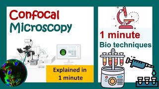 Confocal microscopy in 1 minute  principles of confocal microscopy  application of confocal [upl. by Magner496]