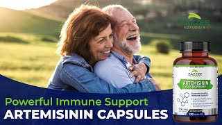 Zazzee Artemisinin Sweet Wormwood  Immune System Support Promotes Healthy Aging and Cell Repair [upl. by Dianuj]