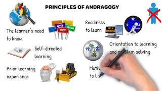 Andragogy Learning Theory  How do adults learn [upl. by Anaitsirc]