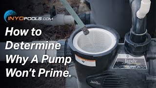 How To Determine Why A Pool Pump Wont Prime [upl. by Introc]