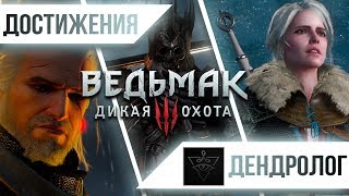 Достижения Ведьмак 3 Дикая Охота  Дендролог [upl. by Aneeg762]