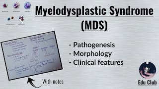 Myelodysplastic Syndrome  MDS  Pathology [upl. by Nilhsa]