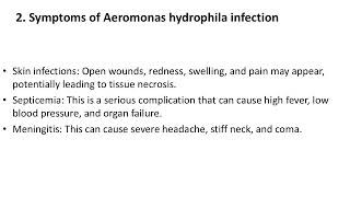 Aeromonas hydrophila A Dangerous Bacterium Not a Flesh Eating Bacteria [upl. by Reseda]