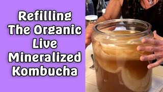 Refilling The Organic Live Mineralized Kombucha I Dr Robert Cassar [upl. by Breena]