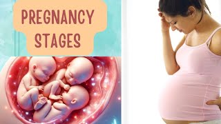 Pregnancy Stages and Symptoms [upl. by Eiramac740]