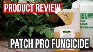 Patch Pro Fungicide Product Review [upl. by Attenrev]