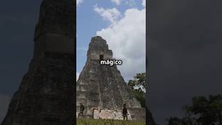 🐦 El CANTO del QUETZAL en las PIRÁMIDES de Tikal en GUATEMALA [upl. by Bhayani]