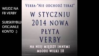 Verba  Nie odchodź teraz Zapowiedz nowej płyty Verby premiera styczeń 2014 [upl. by Luciano]