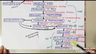 Cholesterol synthesis in hindi with the trick cholesterolsynthesis [upl. by Suoivart]