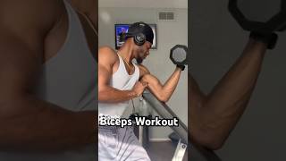 I Tested 9 BICEPS WORKOUTS to Find the BEST One [upl. by Shelli]