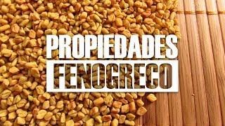 Beneficios del FENOGRECO Alholva 😍 y sus PROPIEDADES ¿Para Qué Sirve [upl. by Kirby]