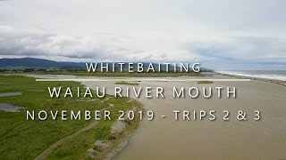 Waiau River Mouth Whitebaiting  November 2019  Trips 2amp3 016 [upl. by Nerok667]