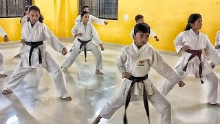 Down block and Punch Practice in all directions karatetechniques karate [upl. by Cilo244]