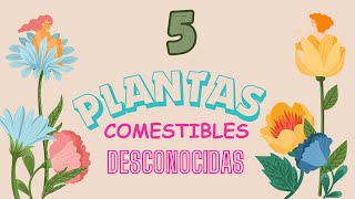 5 PLANTAS COMESTIBLES que NO CONOCIAS  PARTE 1  Usos y beneficios [upl. by Mort]