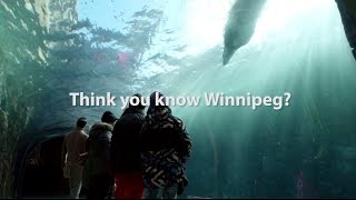 Think You Know Winter  Winnipeg [upl. by Avrit]