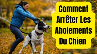 Guide Complet  Comment Faire Taire un Chien qui Aboie sans Cesse [upl. by Brinkema319]